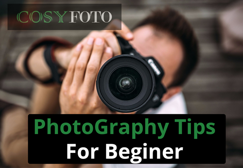 7 Tips Beginners: Getting started in Photography