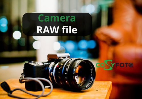 Camera RAW file – the best choice for professional photography
