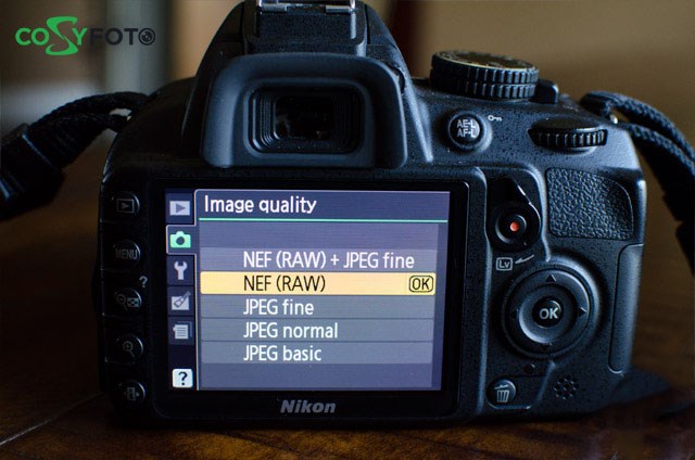 RAW file format in Canon and Nikon camera respectively