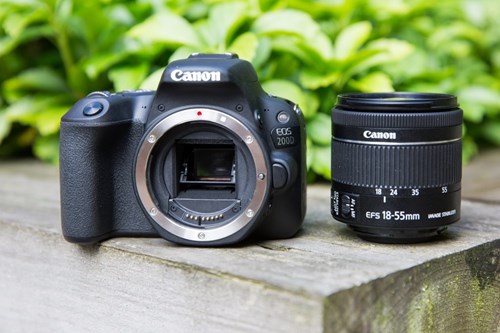 Top 6 best cheap Canon cameras for professional photography