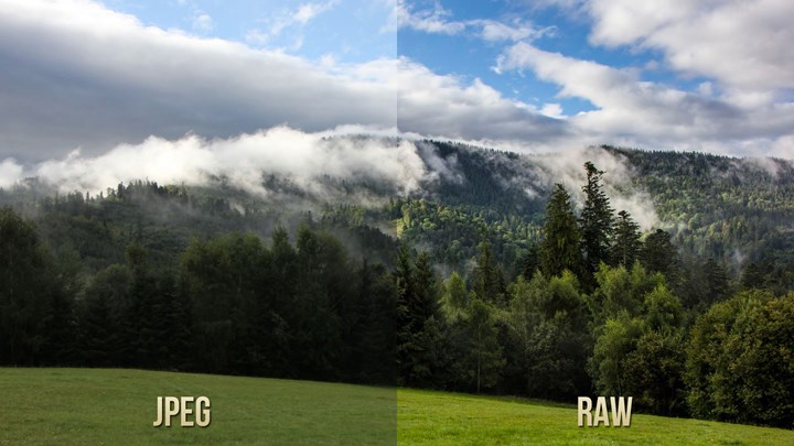 Take pictures with RAW file format
